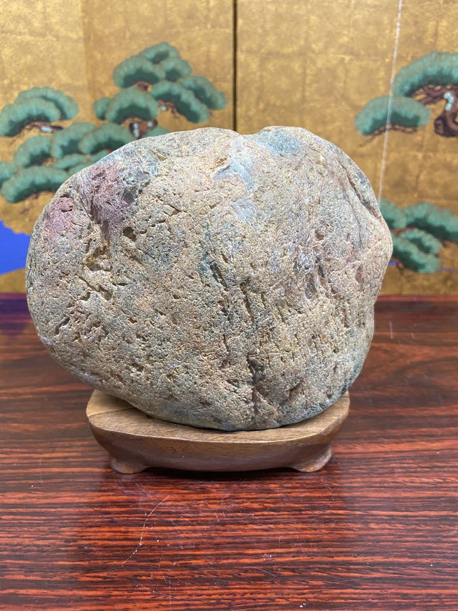 秋の感謝祭水石 盆栽 岐阜県産土岐石 ウブ 横18.5×高 - 土岐石 鑑賞石