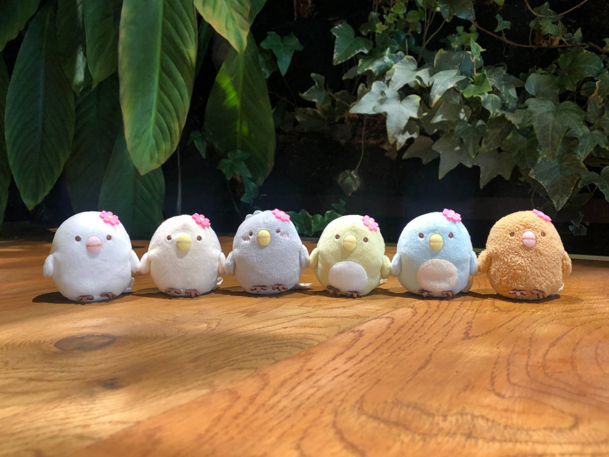 映画 すみっコぐらし とびだす絵本とひみつのコ 限定 ひよこ？たち大