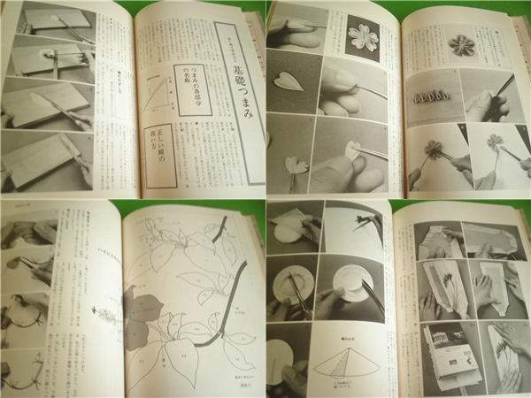 つまみ画 佐田旭著 伝統美術工芸シリーズ つまみ画: 新装版 (趣味の