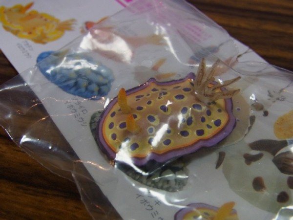 ネイチャーテクニカラーmono ウミウシ マグネット ストラップ オトヒメウミウシ マグネット 奇譚クラブ 生き物 売買されたオークション情報 Yahooの商品情報をアーカイブ公開 オークファン Aucfan Com ネイチャーテクニカラーmono ウミウシ マグネット ストラップ オトヒメウミウシ マグネット 奇譚クラブ 生き物 売買されたオークション情報 Yahooの商品情報をアーカイブ公開 オークファン Aucfan Com