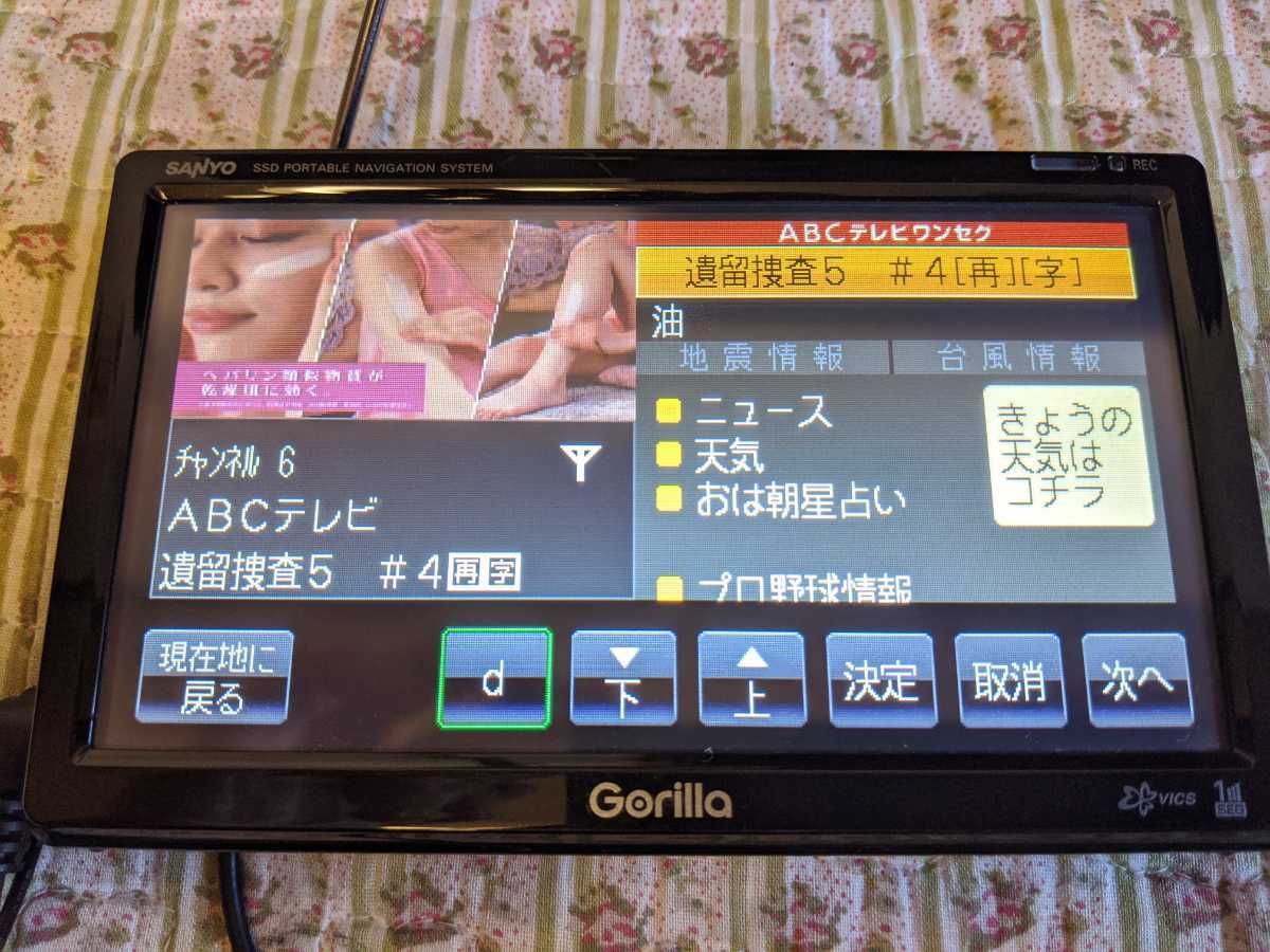 Panasonic NV-SD630DT、NV-SB540DT ゴリラ 動作品 Panasonic NV
