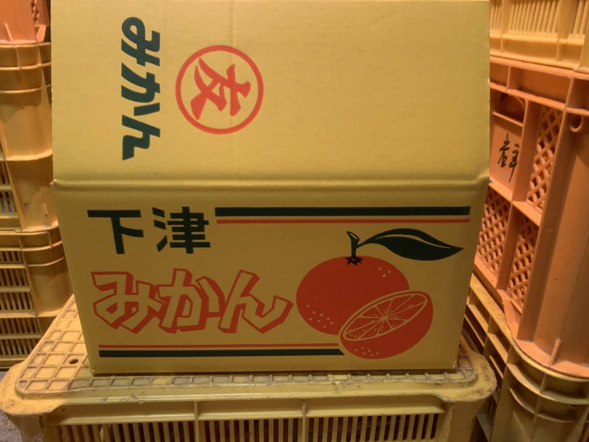 赤秀 １0ｋｇ 送料無料 下津 まごころ産直みかん サイズおまかせ2S～2L 【送料無料】 和歌山「しもつみかん」　赤秀　SS～2L混合　１0ｋｇ 【生産者直送】　有田みかんで有名な「しもつブランド」みかんです