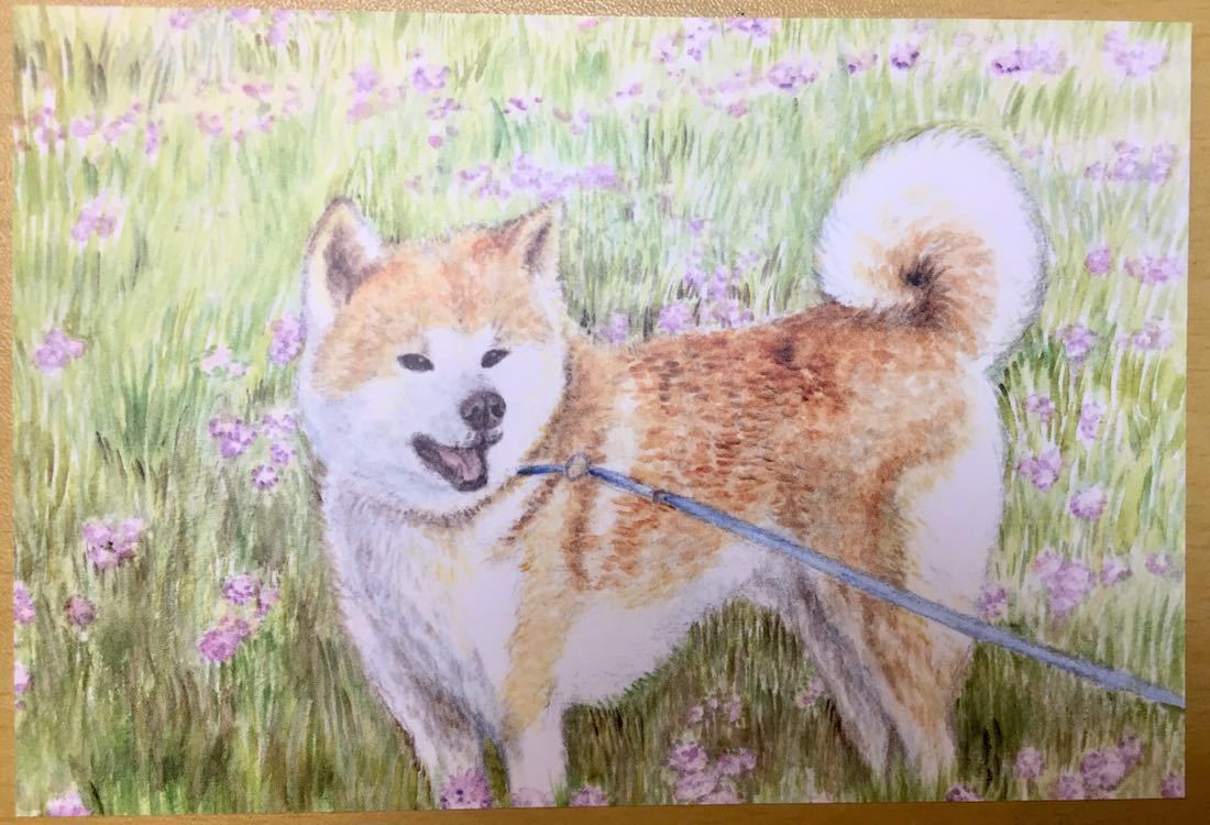 魅力の 手描きイラスト ポストカード 犬 複製画 チワワ 水彩 Pcinsurances Ie