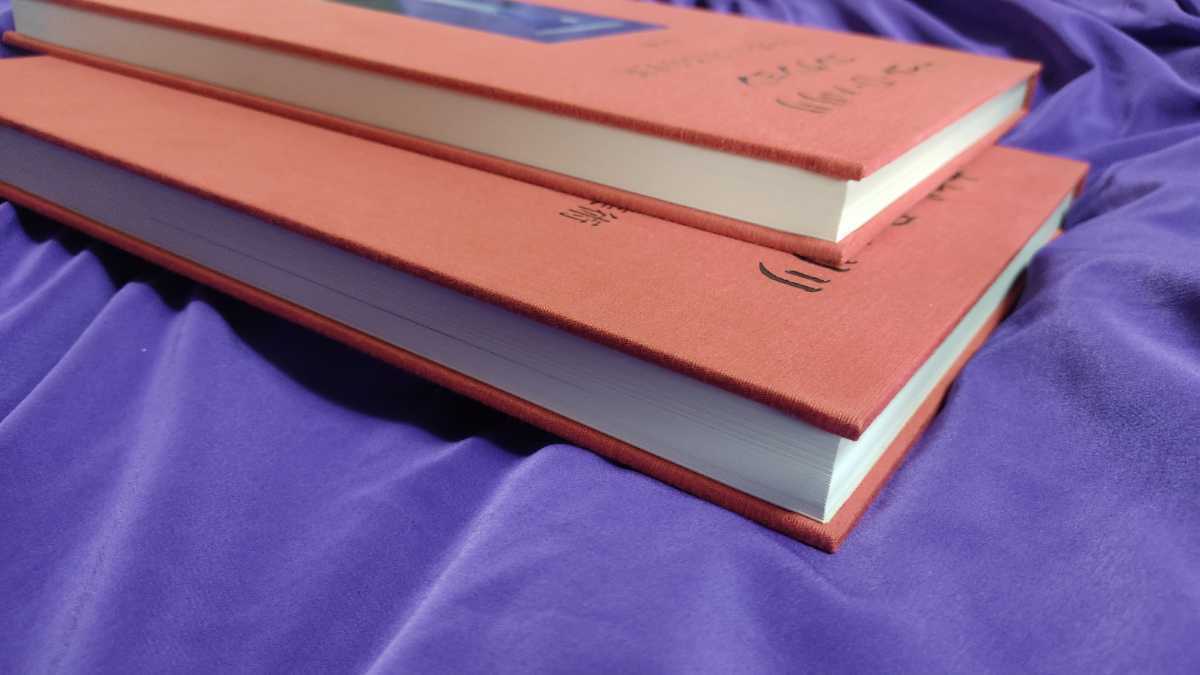 陶芸篇 ナセル・D・ハリリコレクション―海を渡った日本の美術 (第5巻