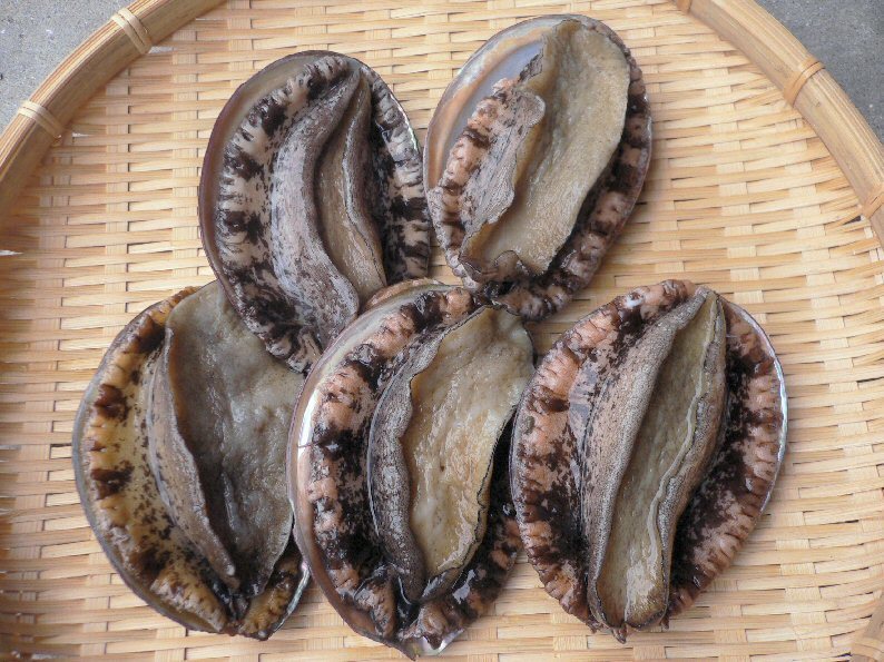  ご依頼者様限定 あわび 約１kｇ ７ ８個 淡路島 ゜ 彡(アワビ)｜売買されたオークション情報、yahooの商品情報をアーカイブ公開 - オークファン アワビ