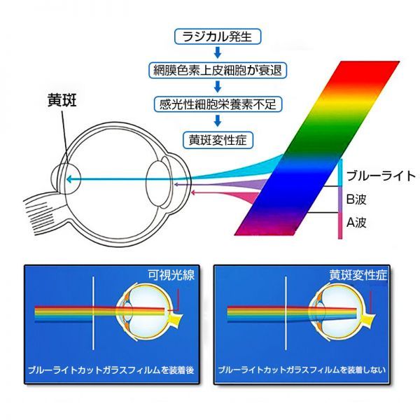 AQUOS sense3 basic 強化ガラスフィルム ブルーライトカット au SHV48 液晶保護 全面保護シール 3D ソフトフレーム ガラスカバー_2
