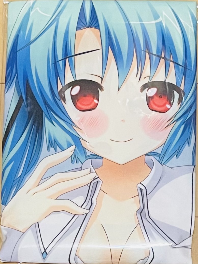 ひとつ飛ばし恋愛 園原 碧里 声優 水橋かおり 武装神姫 アルトアイネス 役 抱き枕カバー 正規品 抱き枕 売買されたオークション情報 Yahooの商品情報をアーカイブ公開 オークファン Aucfan Com