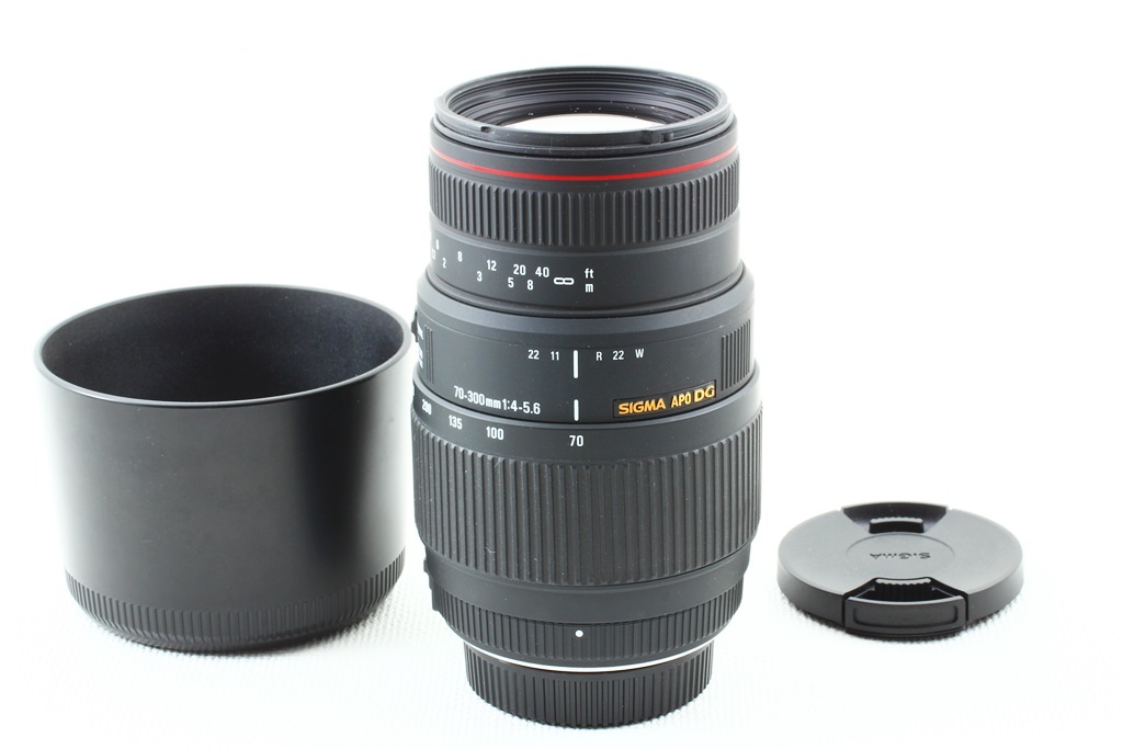 APO 70-300mm F4-5.6 MACRO DG シグマ SIGMA AF マクロ キヤノン