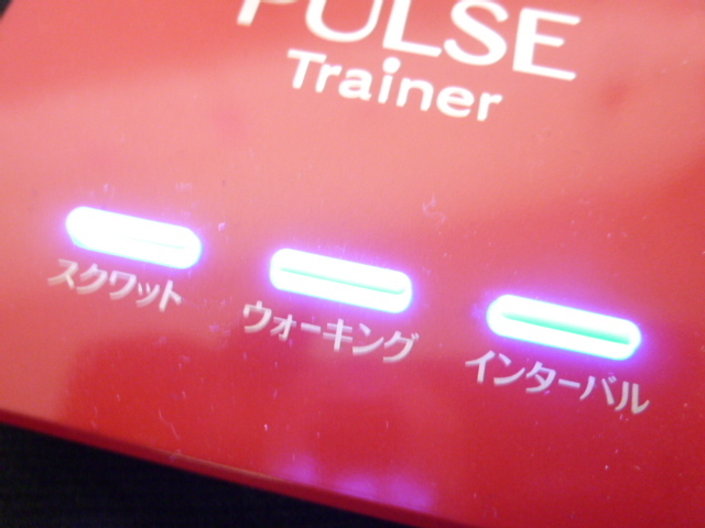 パルストレーナー ホーマーイオン研究所 Trainer PT-II PULSE PT-Ⅱ