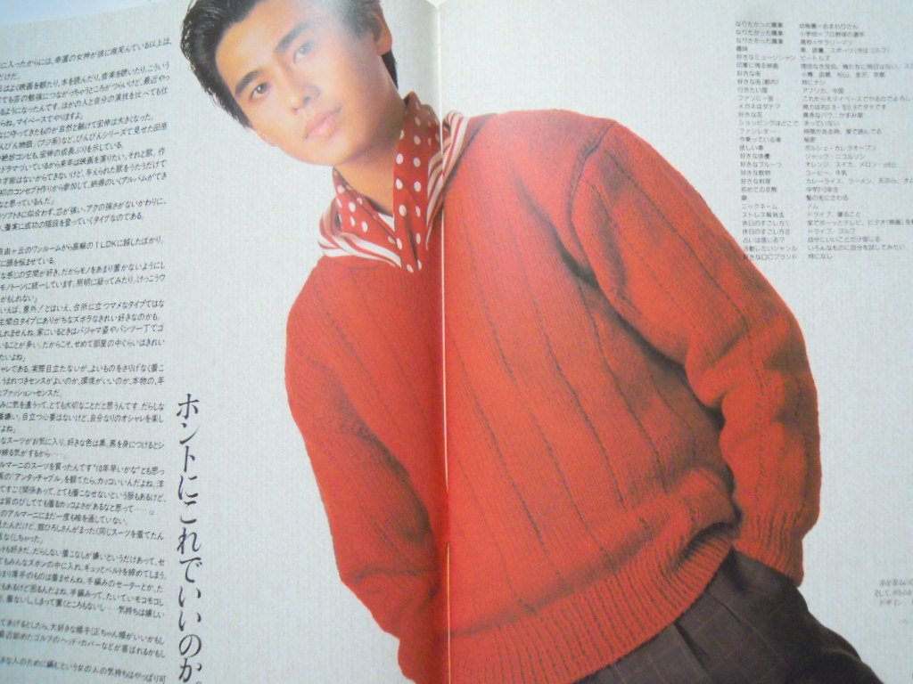 野村宏伸セーターブックhironobu Sweater Book 綴じこみテクニックガイド付 フィッシャーマンズ フェアアイル他 80年代角川映画 俳優 編み物 売買されたオークション情報 Yahooの商品情報をアーカイブ公開 オークファン Aucfan Com