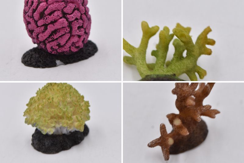 ユージン YUJIN 原色珊瑚図鑑 全16種 サンゴ リーフレット付 検索用