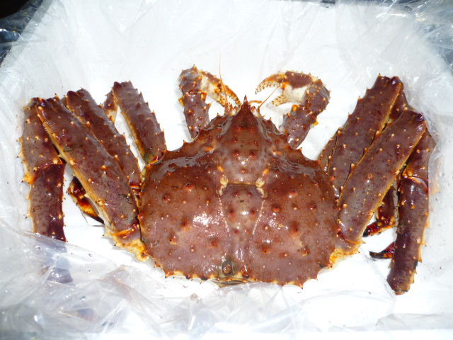 大人気，人気SALE 北海北の味 Big若上 超特大活カニ 北海道産訳なし本タラバオス1尾入り3.8ｋ前後鮮度身入り70-80％前後(タラバガニ)｜売買されたオークション情報、yahooの商品情報をアーカイブ公開 - オークフ タラバガニ