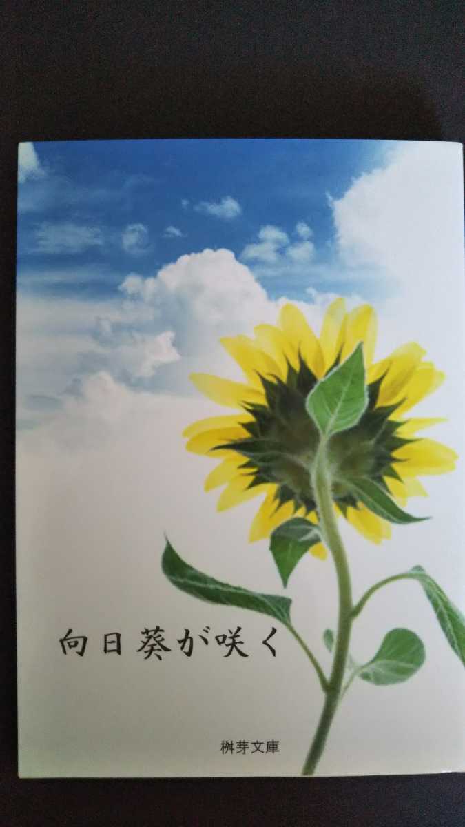 銀魂同人誌◆ 小説本「 向日葵が咲く」桝芽(ますごえ）/ 圭架◆土銀(土方×銀時)_1