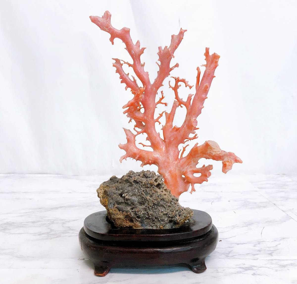 珊瑚 サンゴ 根付 置物 オブジェ （珊瑚サイズ：約縦19.5×横14㎝）（総重量