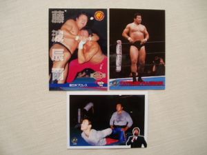 藤波のヤフオク の相場 価格を見る 2ページ目 ヤフオク の藤波のオークション売買情報は121件が掲載されています