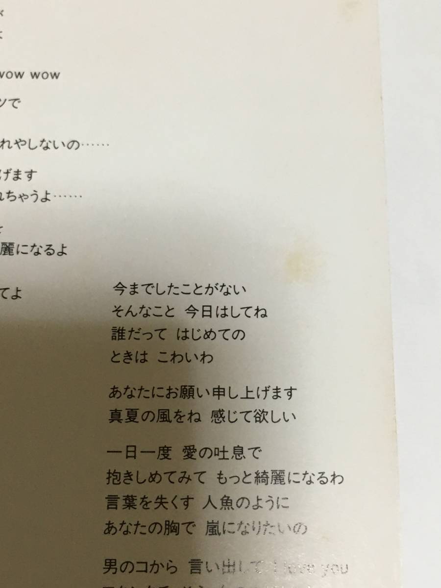 黒BUTAオールスターズ あなたにお願い申し上げます カード封入 持田