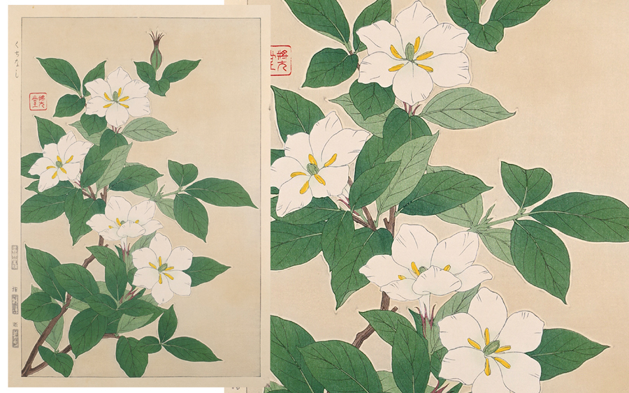∇花∇【河原崎奨堂(清一)】作 1972年(昭和47年)手摺木版植物画「日本