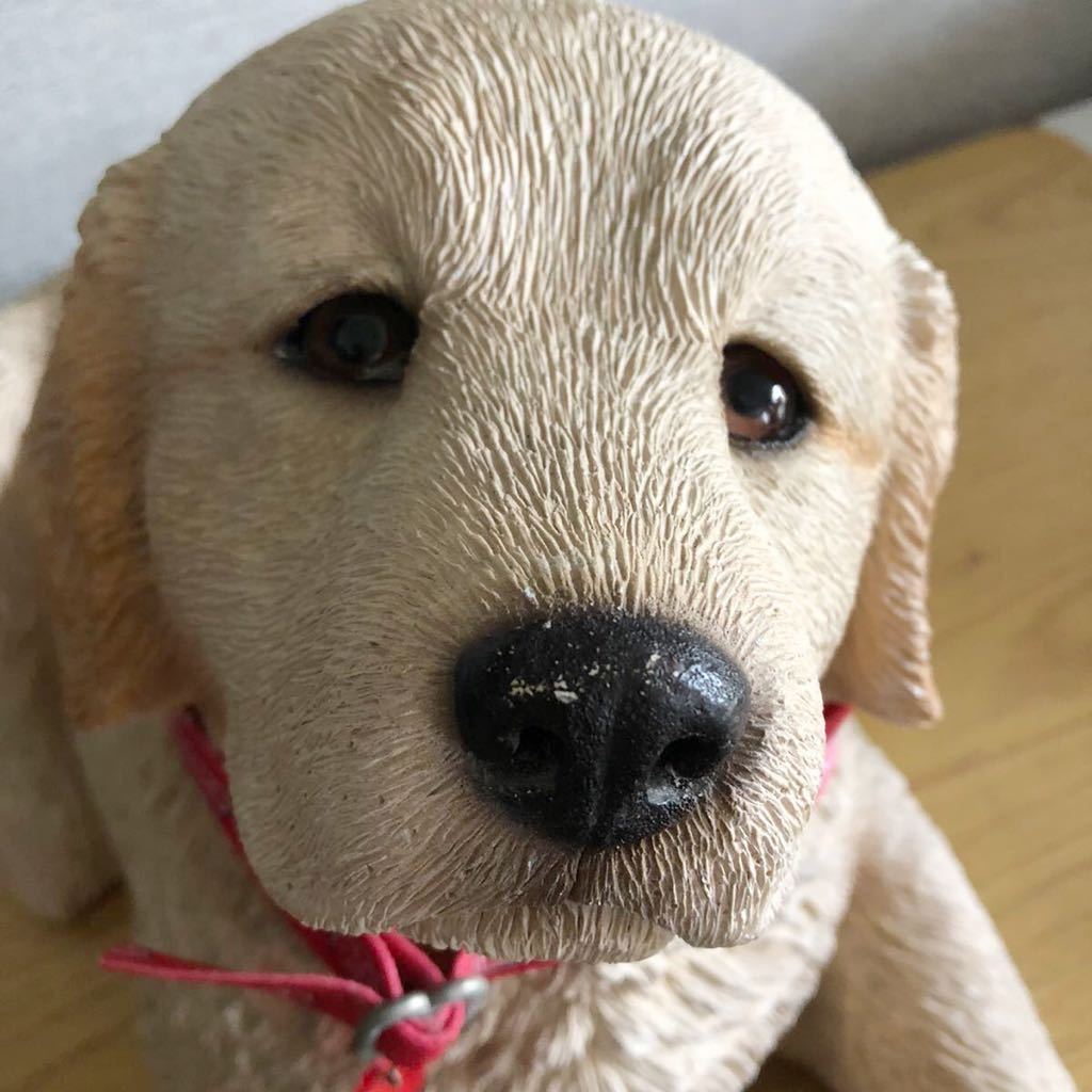 SANDICAST 子犬 Sandicast ラブラドール 日本 Etsy dogs サンディ