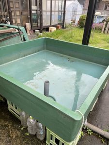 Frp 水槽のヤフオク の相場 価格を見る ヤフオク のfrp 水槽のオークション売買情報は26件が掲載されています