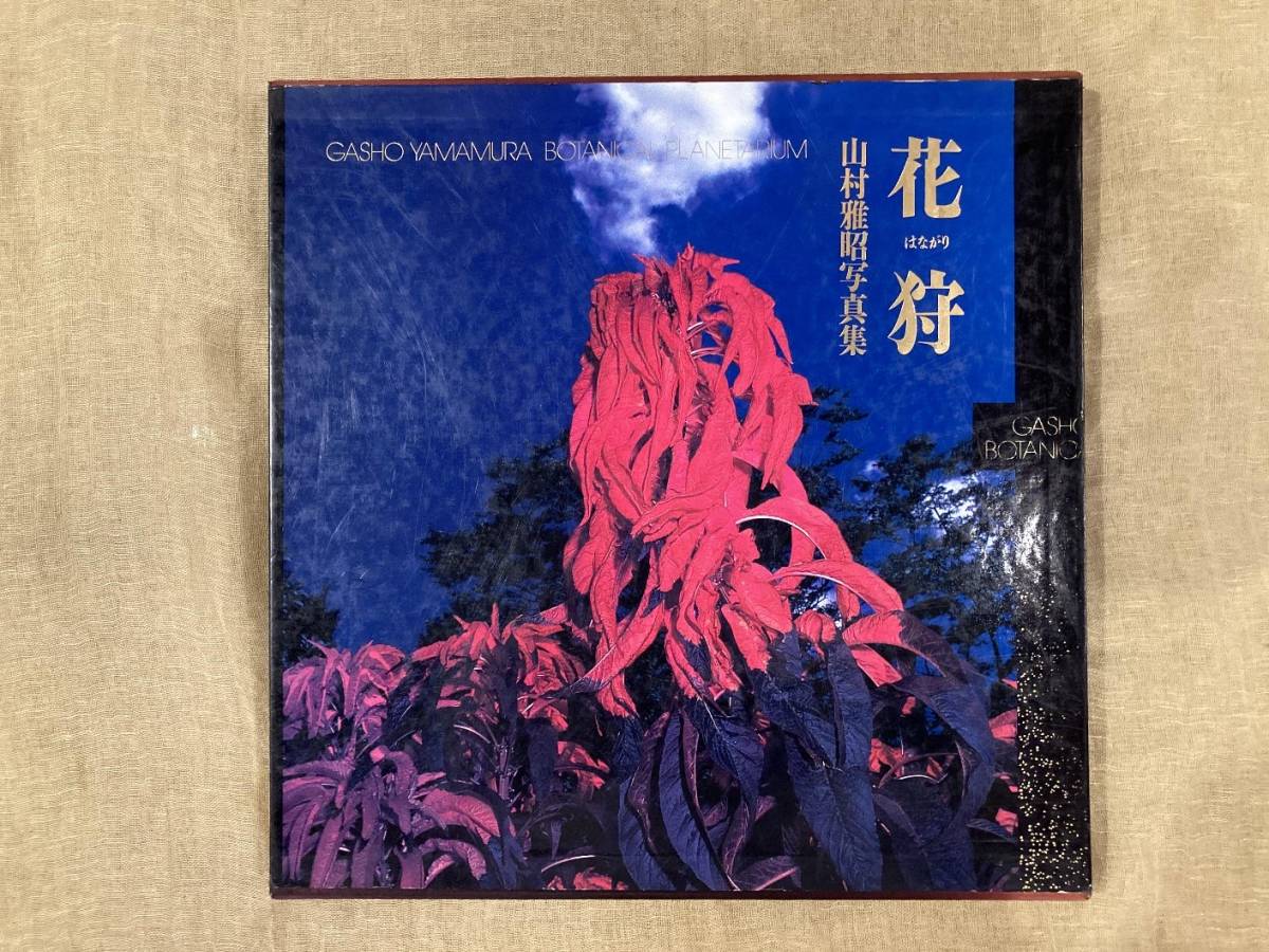 山村雅昭 写真集『花狩』 本、雑誌 アート、エンターテインメント