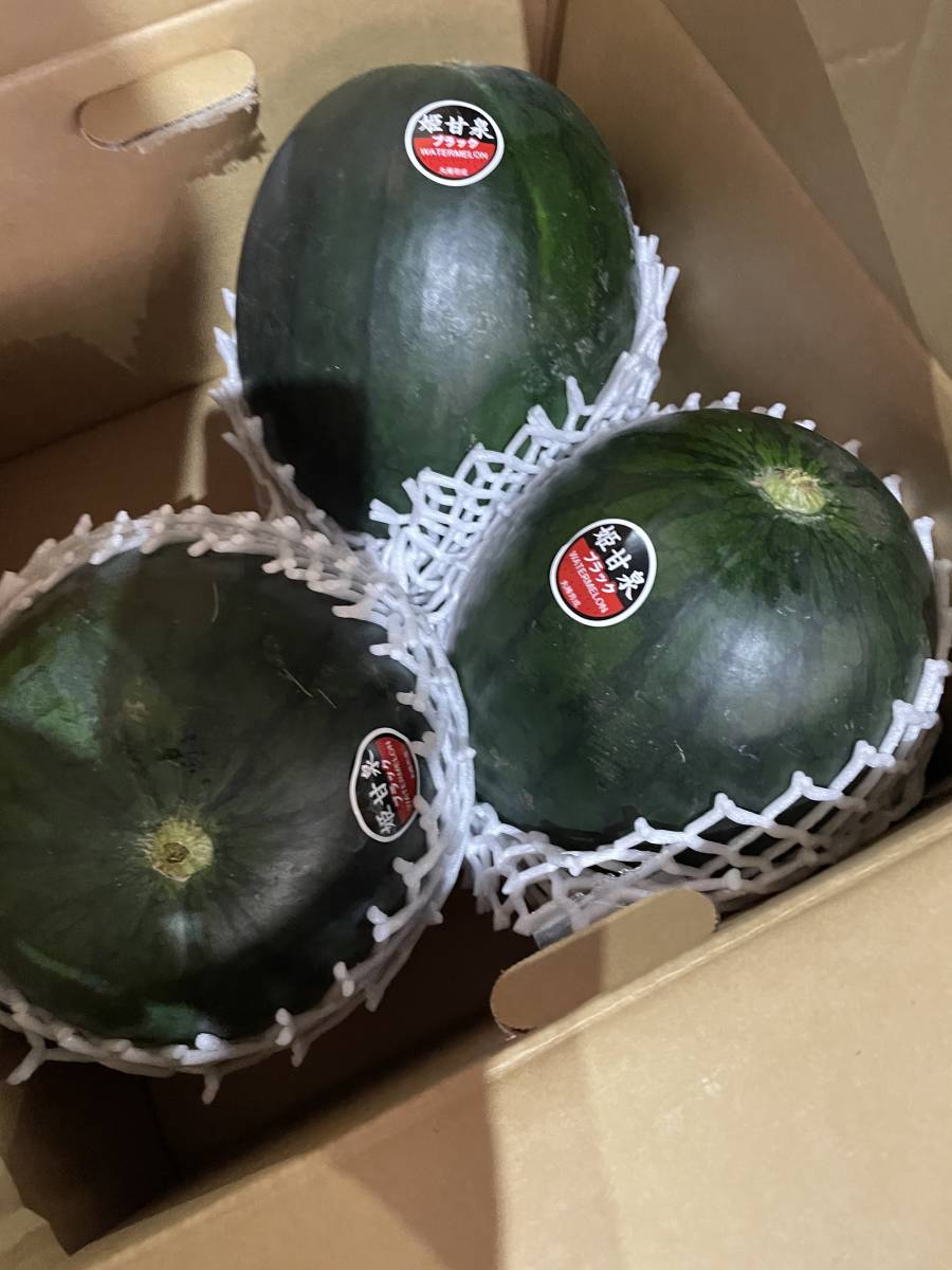 食品 鮮度抜群。鳥取県産 姫 甘泉小玉スイカ1箱 約10kg。4〜5玉。