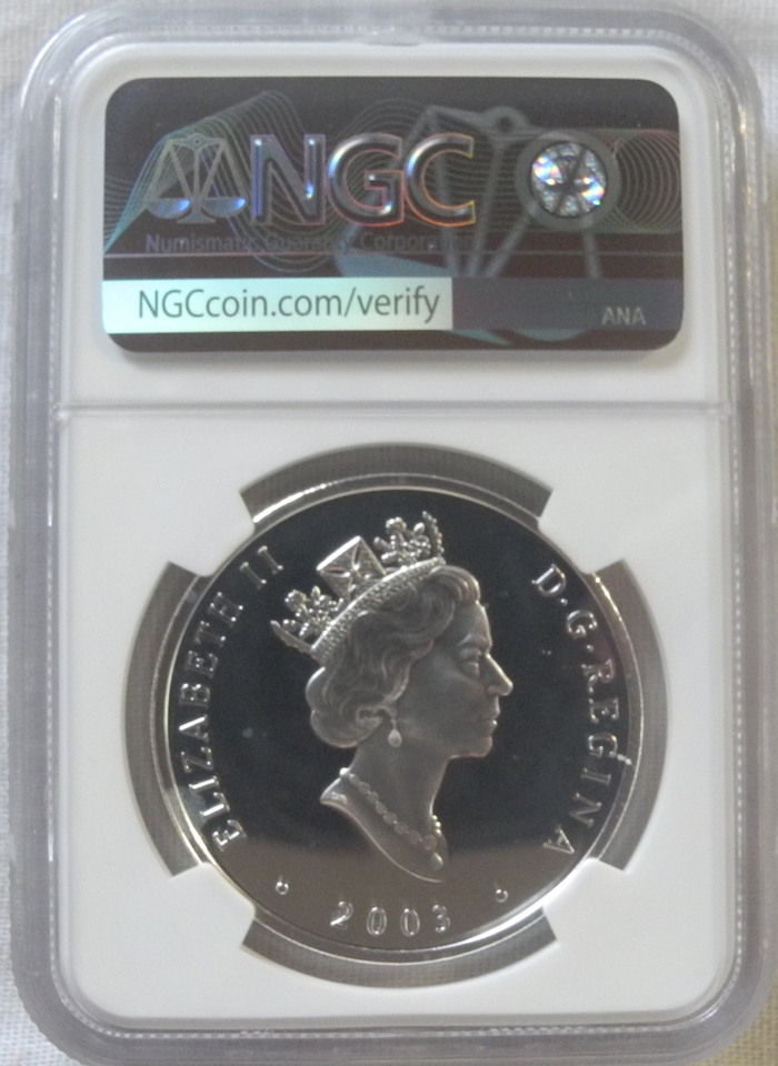0 2003年 $20 カナダ Niagara Falls ナイアガラの 1oz 20ドル銀貨 Coin