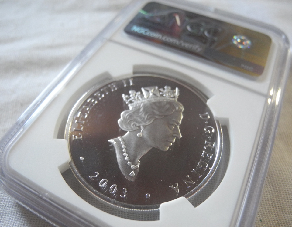 0 2003年 $20 カナダ Niagara Falls ナイアガラの 1oz 20ドル銀貨 Coin