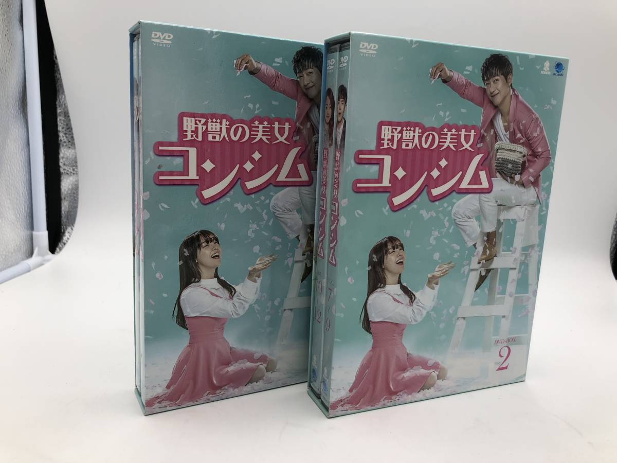 ファン・ジョンウム☆リュ・スヨン『果てしない愛』レンタル落ちDVD