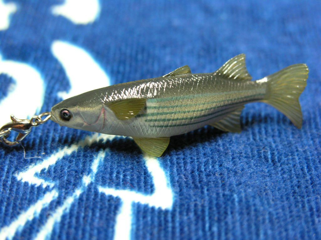 海水魚携帯ストラップ ボラ おさかなストラップ ポイントアクセサリー 根付 アクセサリー 売買されたオークション情報 Yahooの商品情報をアーカイブ公開 オークファン Aucfan Com