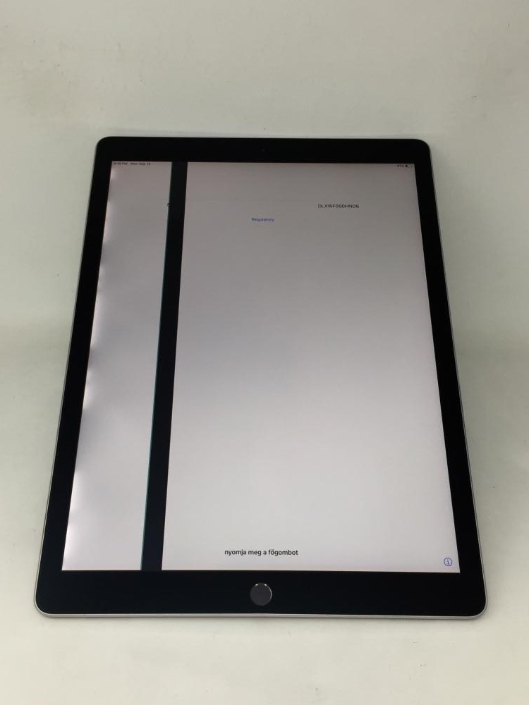 iPad Pro 12.9インチ Apple Wi-Fiモデル A1670 MQDA2J⁄A 64GB ジャンク