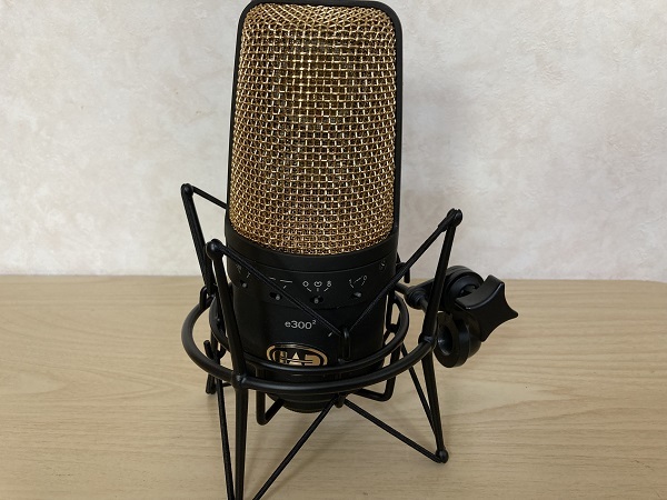 CAD Audio e300 コンデンサーマイク | e300-2 超大型ダイアグラム
