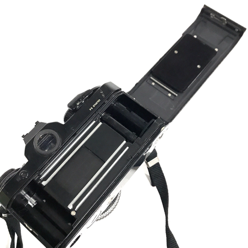 m1016266759.4