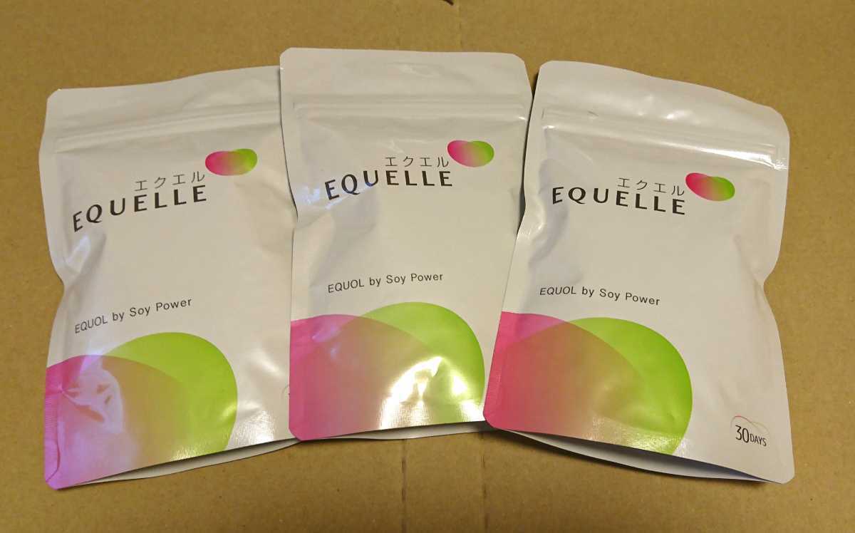 エクエル 大塚製薬 公式通販 パウチ 90日分 EQUELLE 120粒 3袋 パウチ 