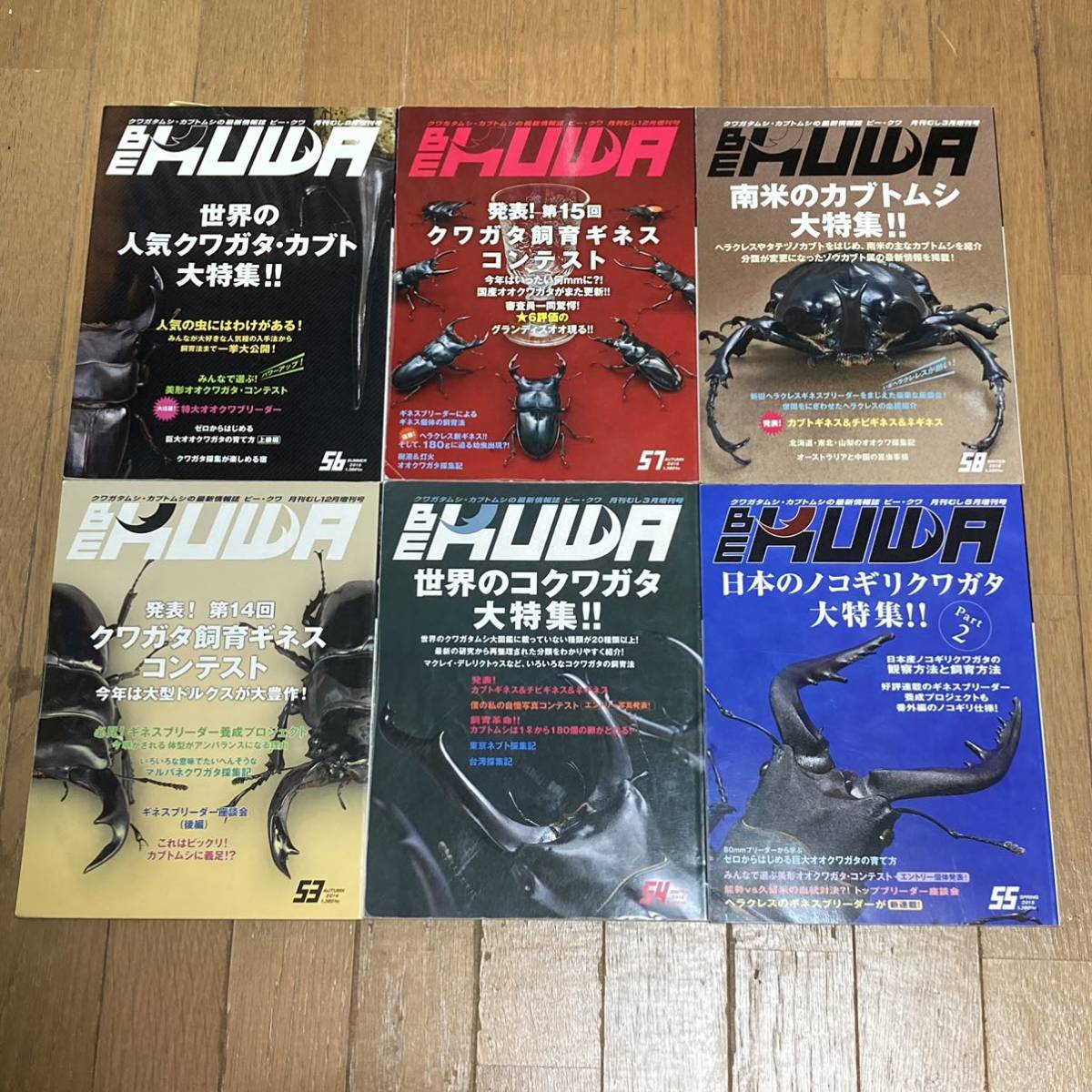 雑誌 2/21まで【最新号含・24冊連番】BE-KUWA（ビークワ）73号〜96号