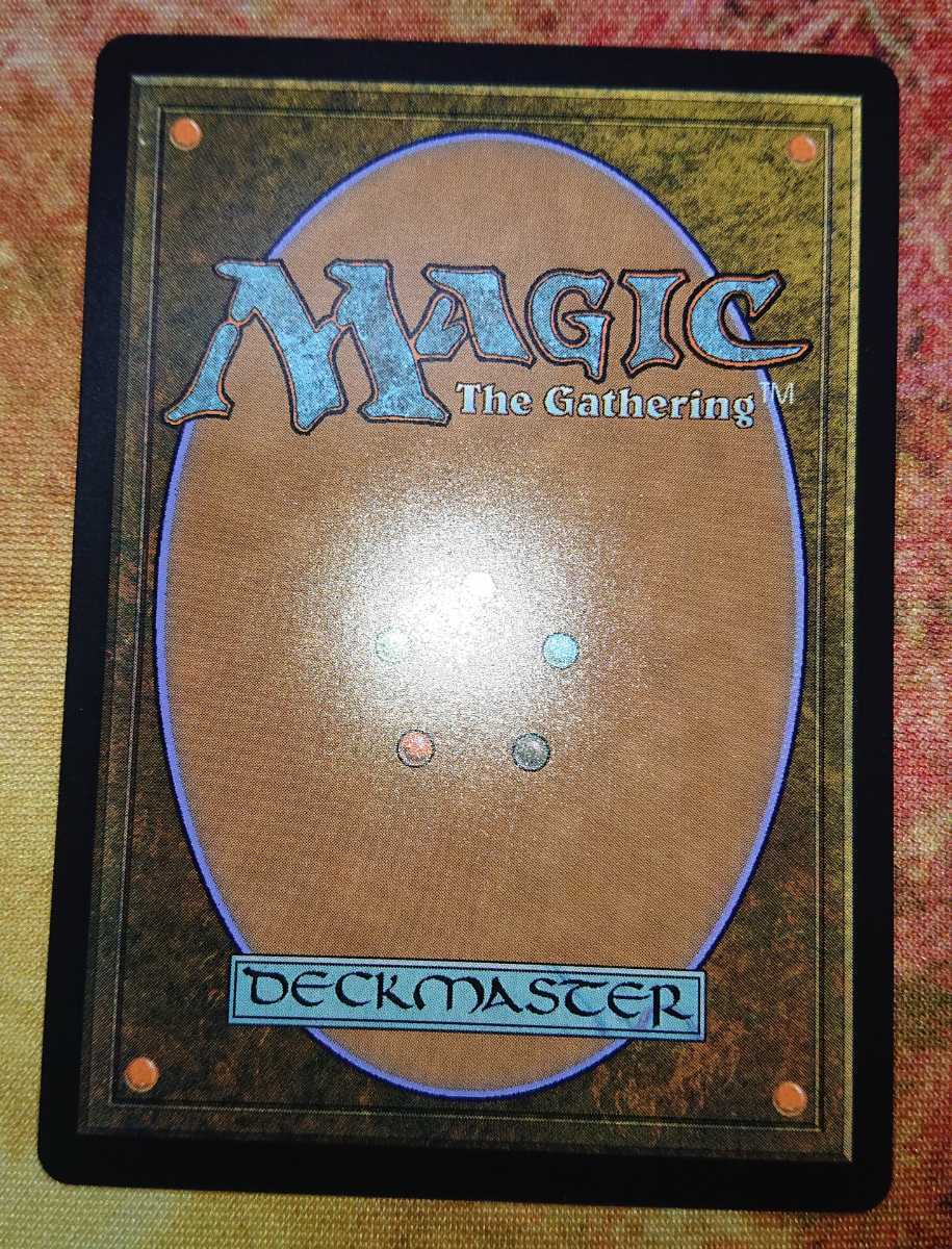 特殊土地5枚セット MTG 統率者 ミドルスクール 鋭き砂岩 鋭き砂岩