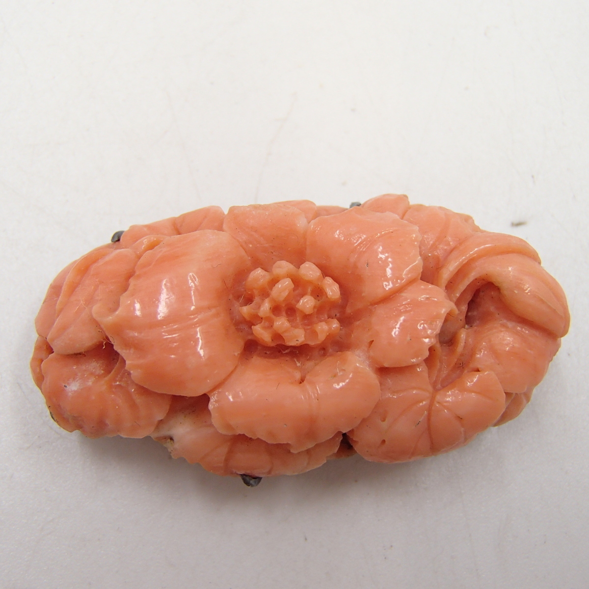 桃珊瑚 | 本珊瑚アクセサリー専門店 Coral35 Pretty 帯留の商品一覧