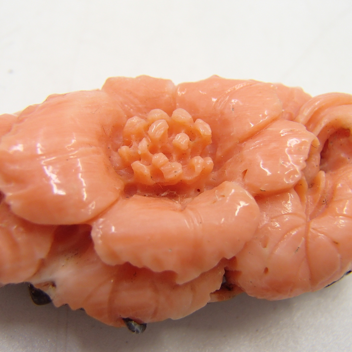 桃珊瑚 | 本珊瑚アクセサリー専門店 Coral35 Pretty 帯留の商品一覧