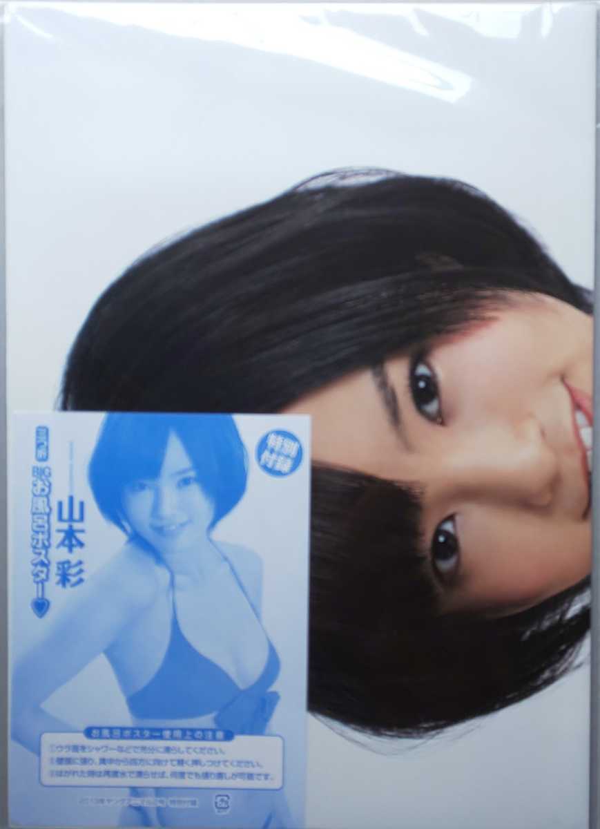 NMB48 山本彩 お風呂ポスター ヤングアニマル 2013年2号 付録 (や行