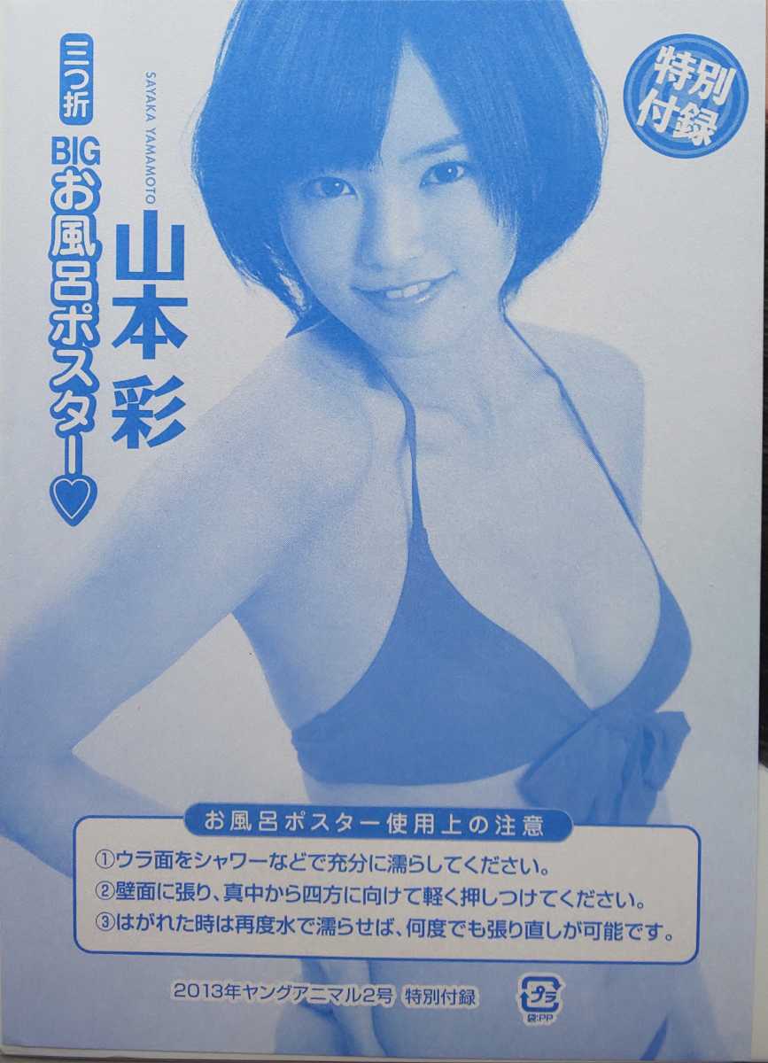 NMB48 山本彩 お風呂ポスター ヤングアニマル 2013年2号 付録 (や行