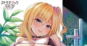 ストラテジックラバーズ ２巻 とらのあな　限定 有償特典 B2タペストリー 三色網戸。