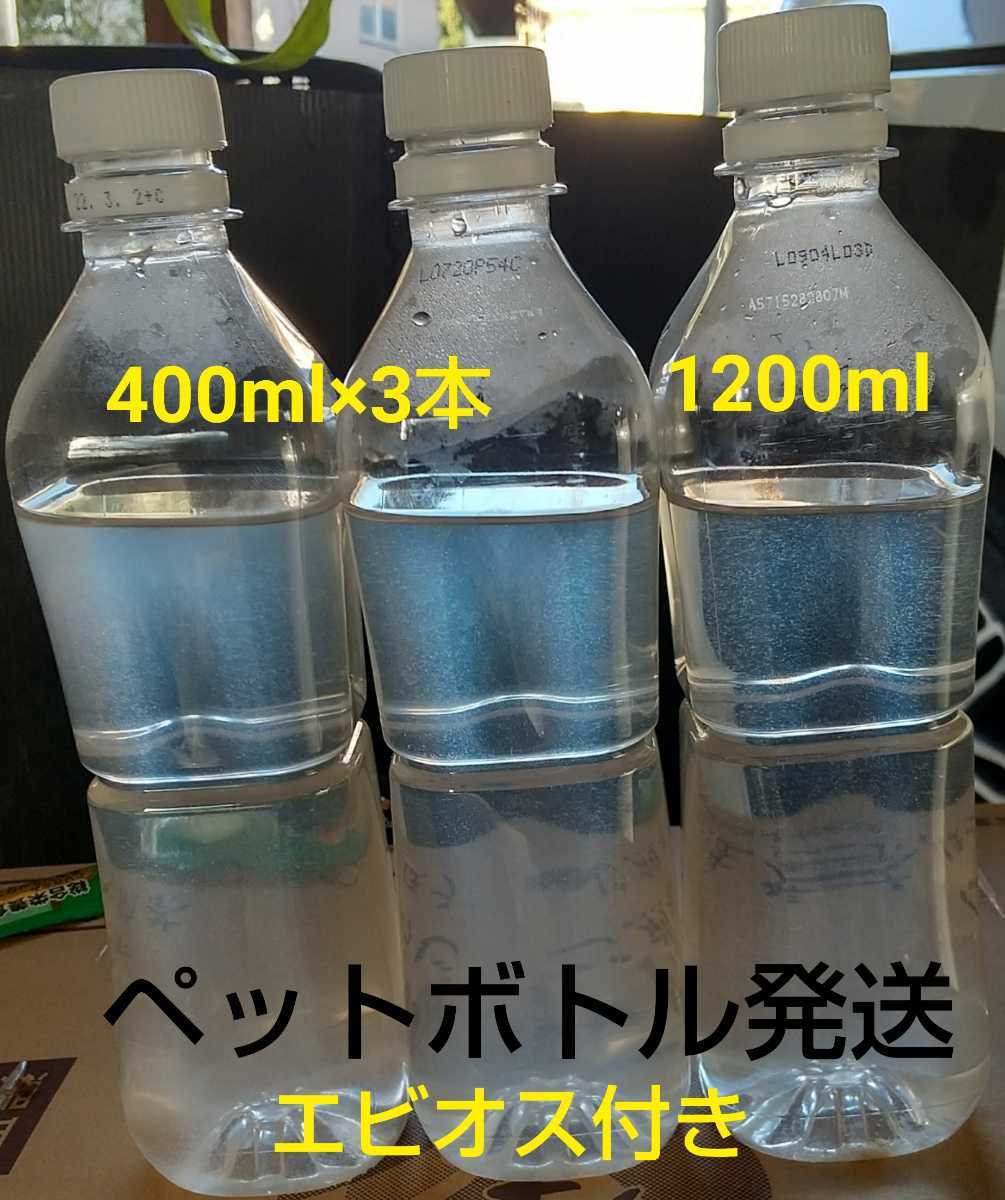 ゾウリムシ 400ml 3本 10ml メダカ ミジンコ 金魚 グリーンウォーター 水草 エサ 売買されたオークション情報 Yahooの商品情報をアーカイブ公開 オークファン Aucfan Com