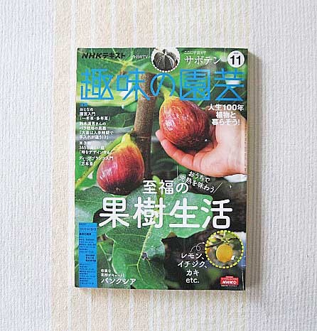 Nhk 趣味の園芸 年11月号 至福の果樹生活 レモン イチジク 柿ほか サボテン 鈴木満男 バラ栽培 テキスト 園芸 ガーデニング 売買されたオークション情報 Yahooの商品情報をアーカイブ公開 オークファン Aucfan Com