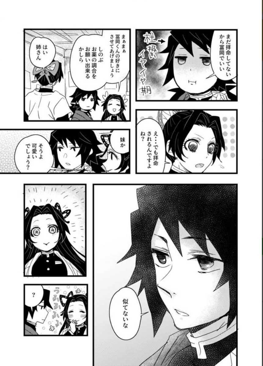 鬼滅の刃 同人誌 冨岡義勇×胡蝶しのぶ/ぎゆしの HertzのぎゆしのWEB