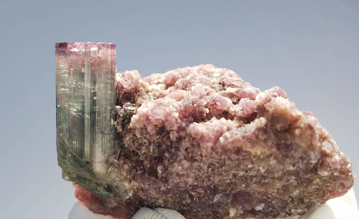 バイカラートルマリン on レピドライト ブラジル産 リシア電気石