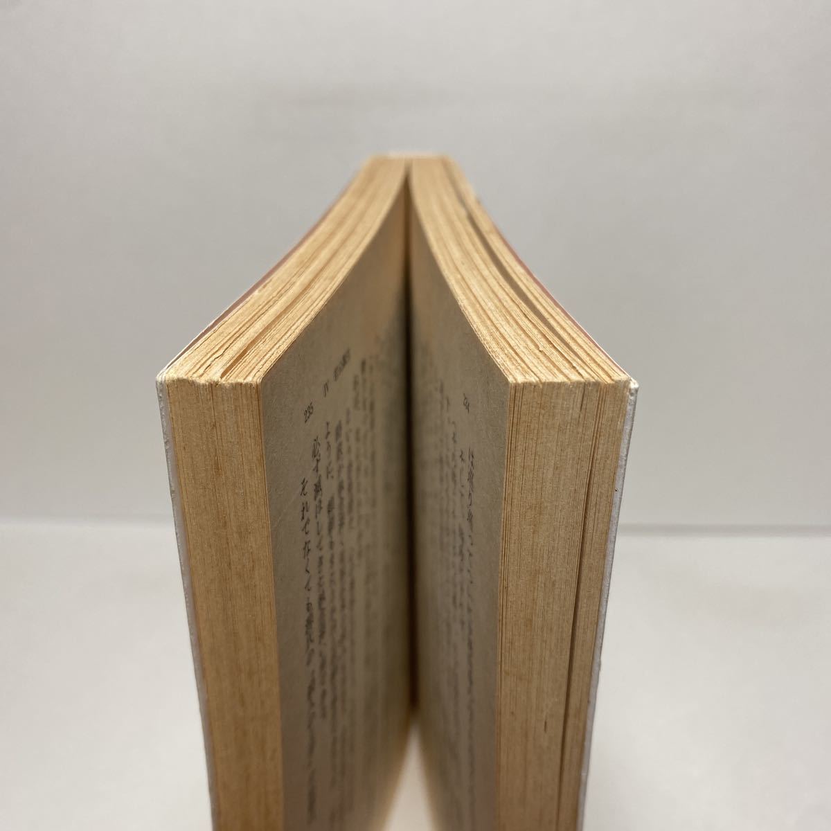 ☆c6/尼将軍 北条政子 1 頼朝篇 桜田晋也 角川文庫 4冊まで送料180円  