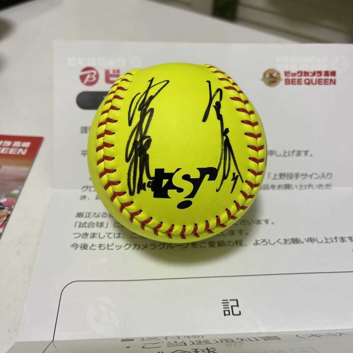 女子ソフトボール サインボール 当選品 上野由岐子含む 7選手 当選品 