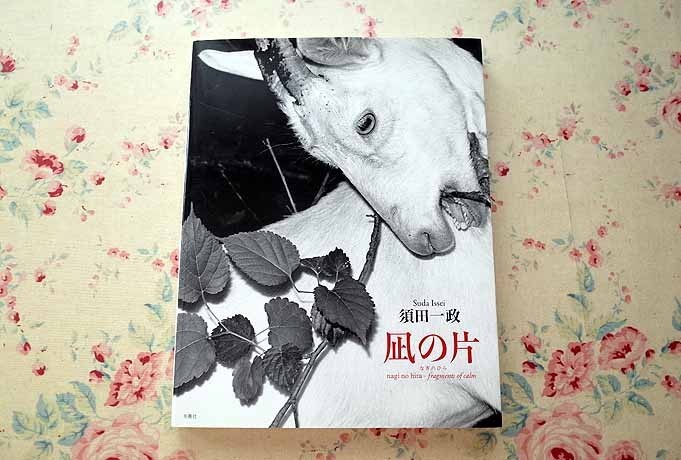 須田一政 写真集 「凪の片」 須田一政 アートブック 凪の片