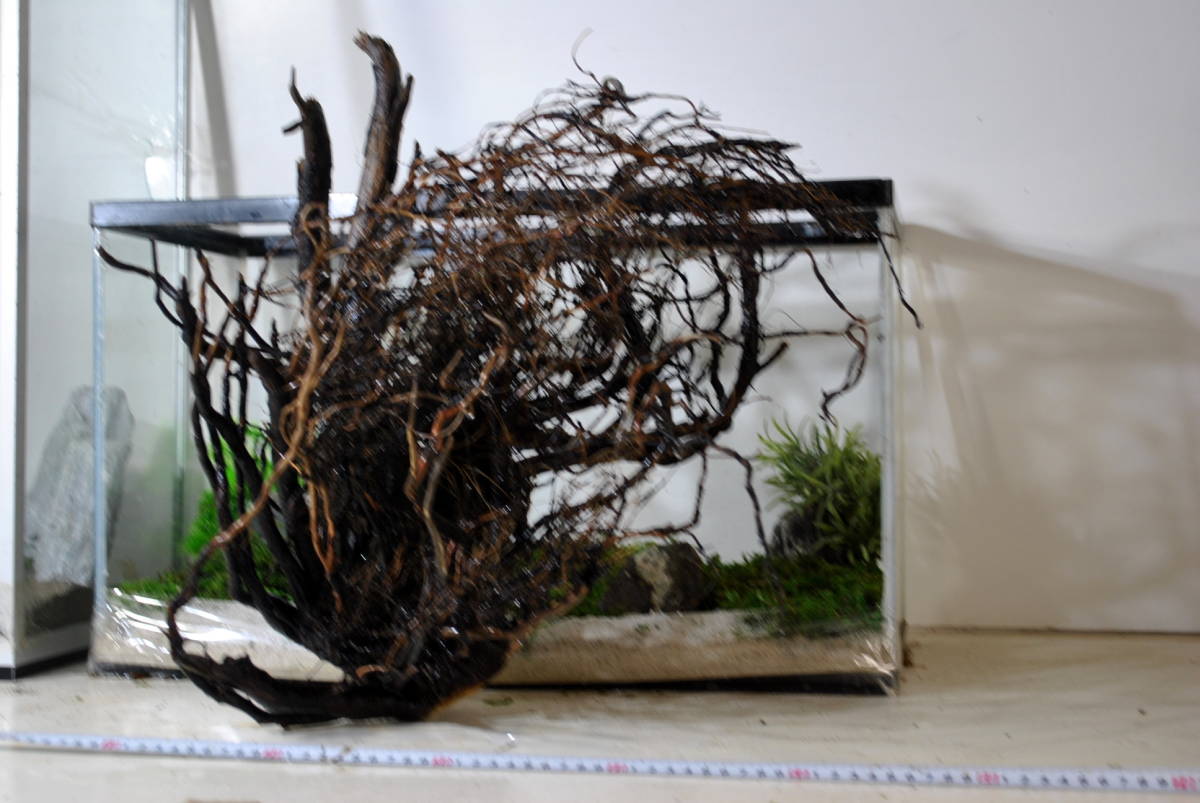 沈木流木☆90cm水槽～120cm水槽以上追加にアクア根流木(検策)水草ADA 