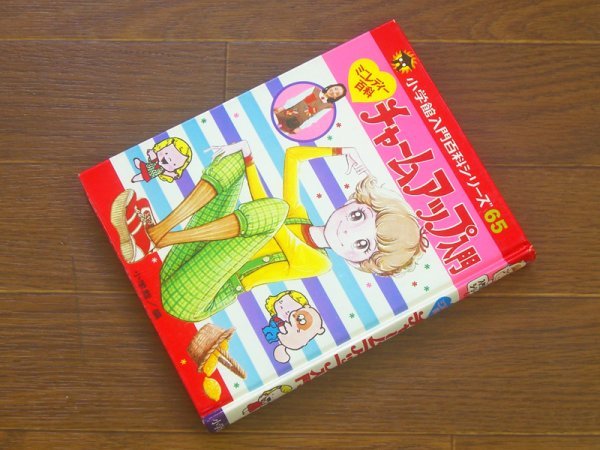 ミニレディー百科 チャームアップ入門 レアミニレディー百科 小学校