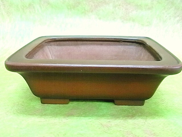 華彩｝ 常滑平田美芸 朱泥外縁長方鉢≒15，8cm 釘彫落款 【公式通販】
